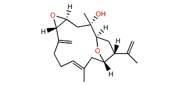 Culobophylin C